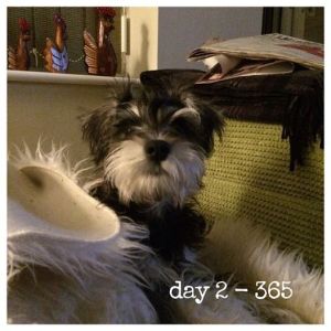 10898213_10205780961027822_1514031252650033487_n