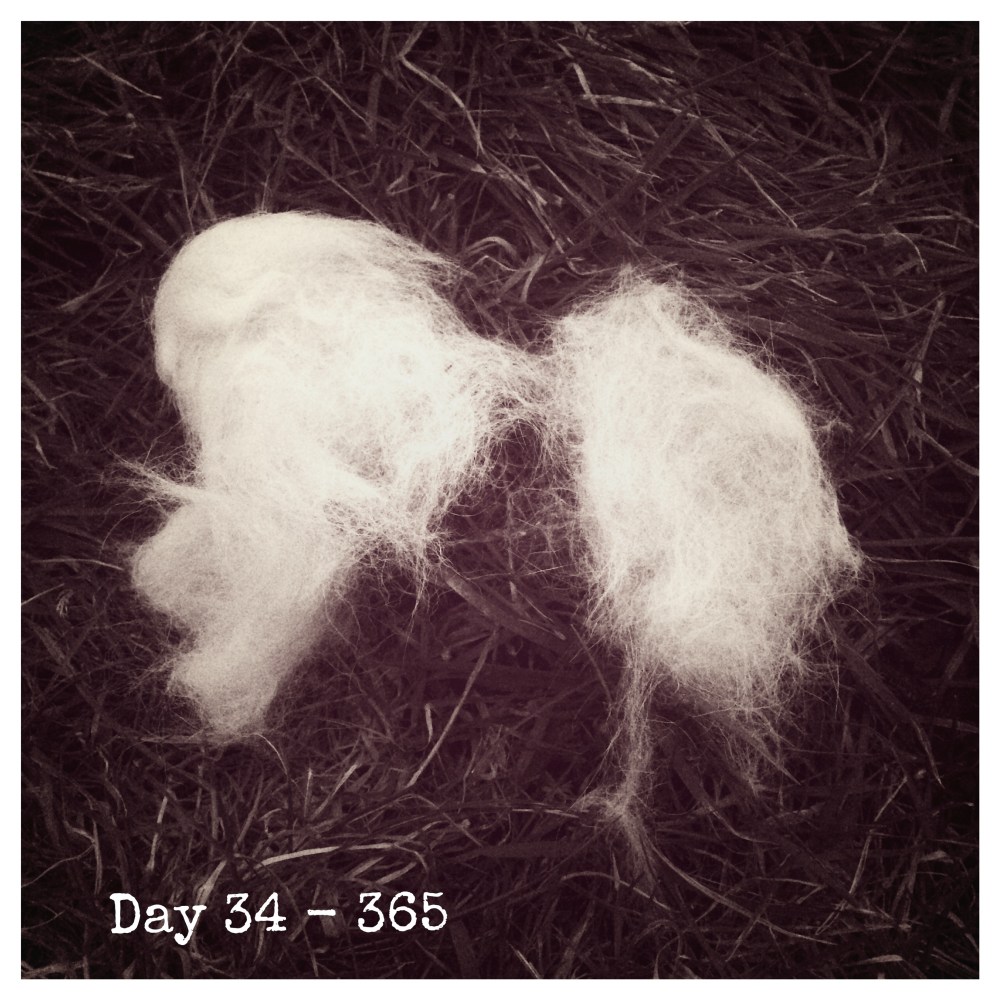 Processed with Moldiv