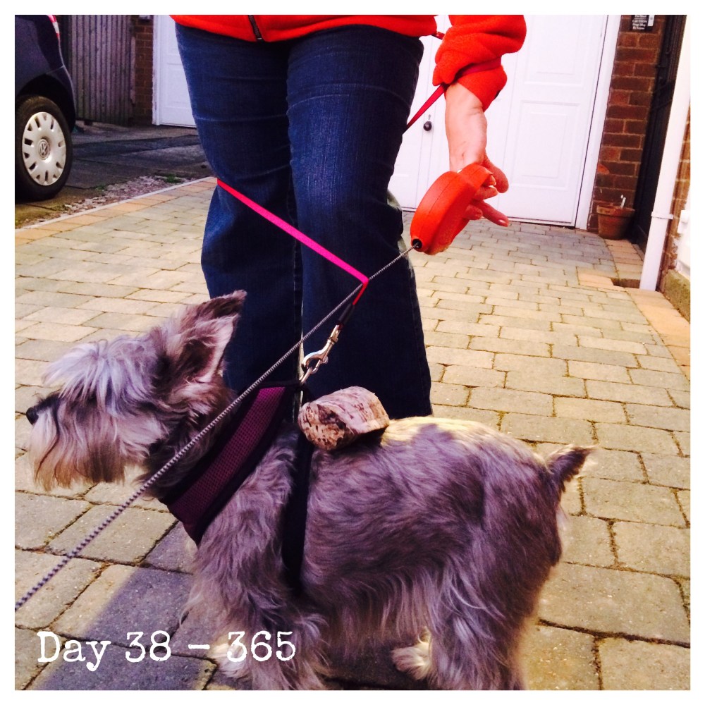 Processed with Moldiv