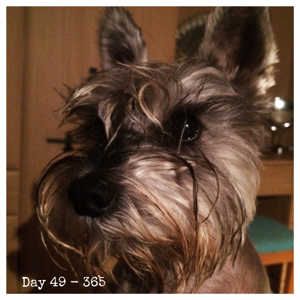 Processed with Moldiv