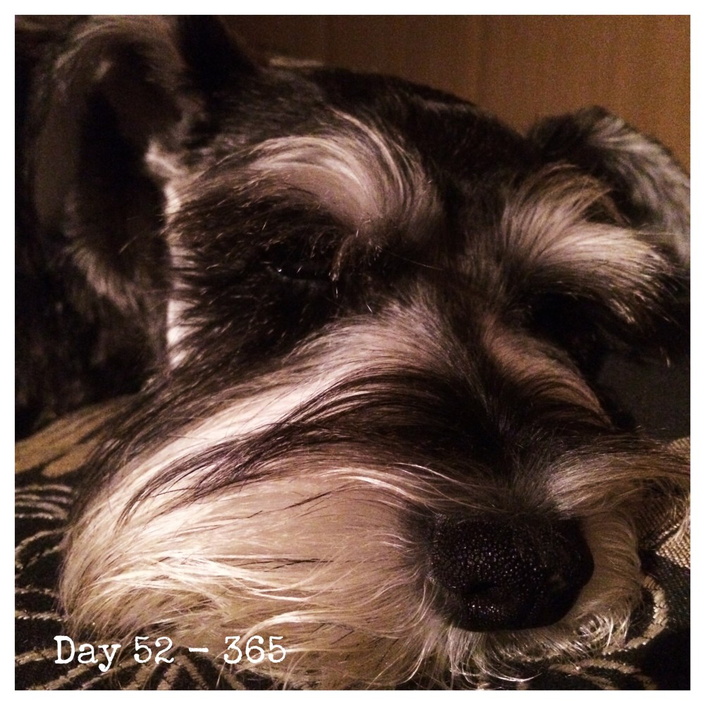 Processed with Moldiv