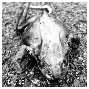 Processed with Moldiv